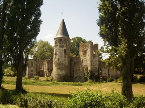 Ramoneur Fontenay-Trésigny