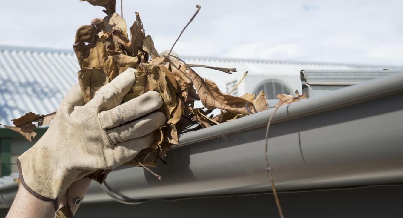 Nettoyage de toiture & gouttières, Peinture & hydrofugation de toiture 77 Seine-et-Marne